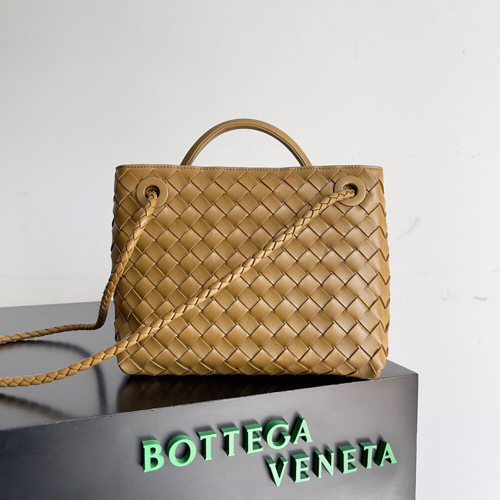 Bottega Veneta Small Andiamo
