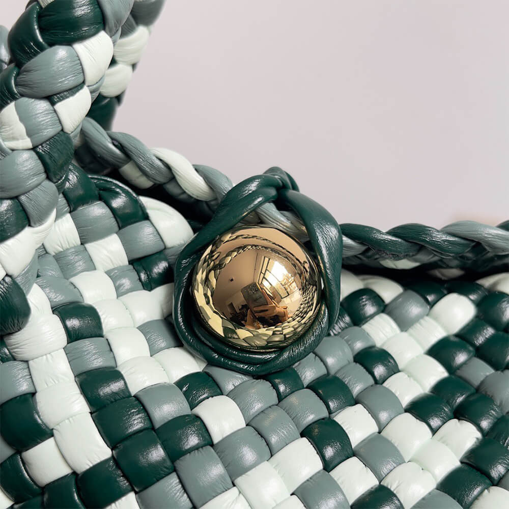 Bottega Veneta Small Tosca(high-end grade)