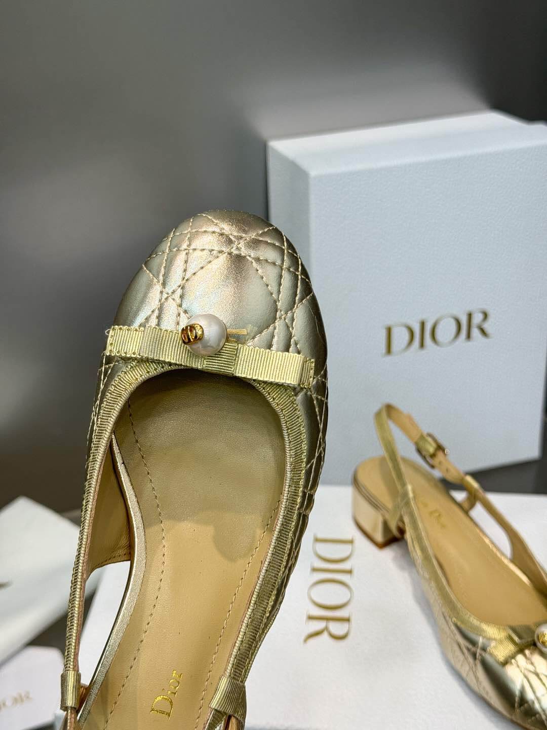 Dior Ballet Slingback Pump