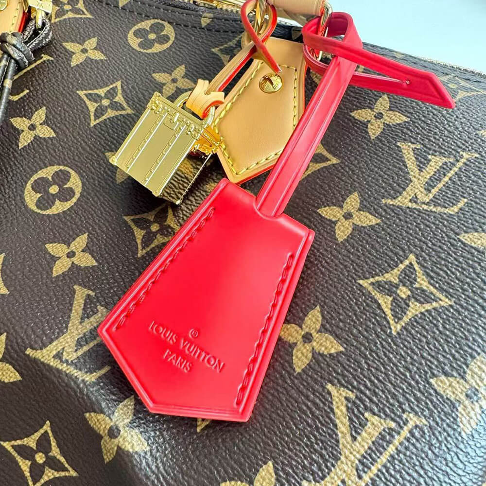 LV Speedy Soft 30 Crafty