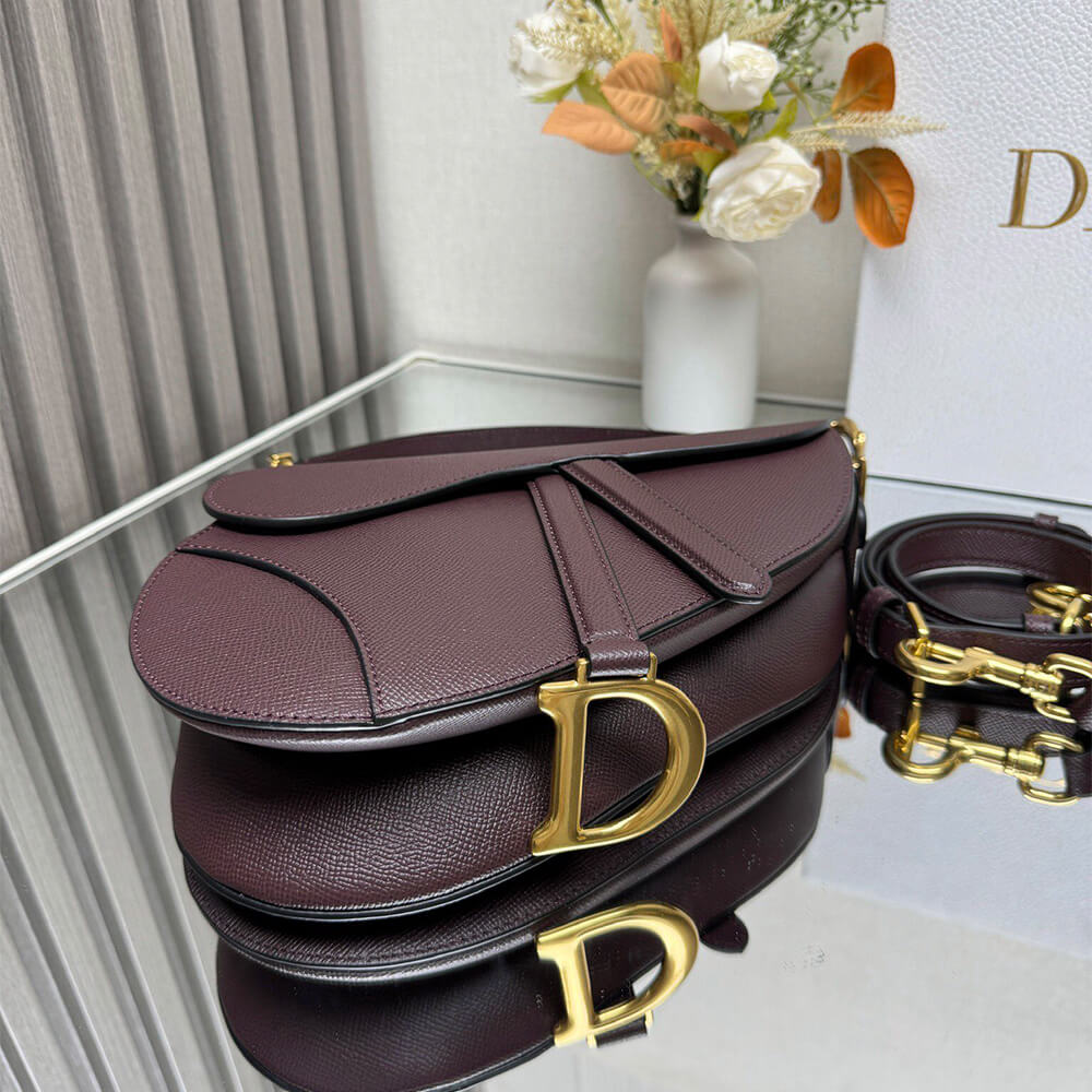 Dior Saddle Bag with Strap