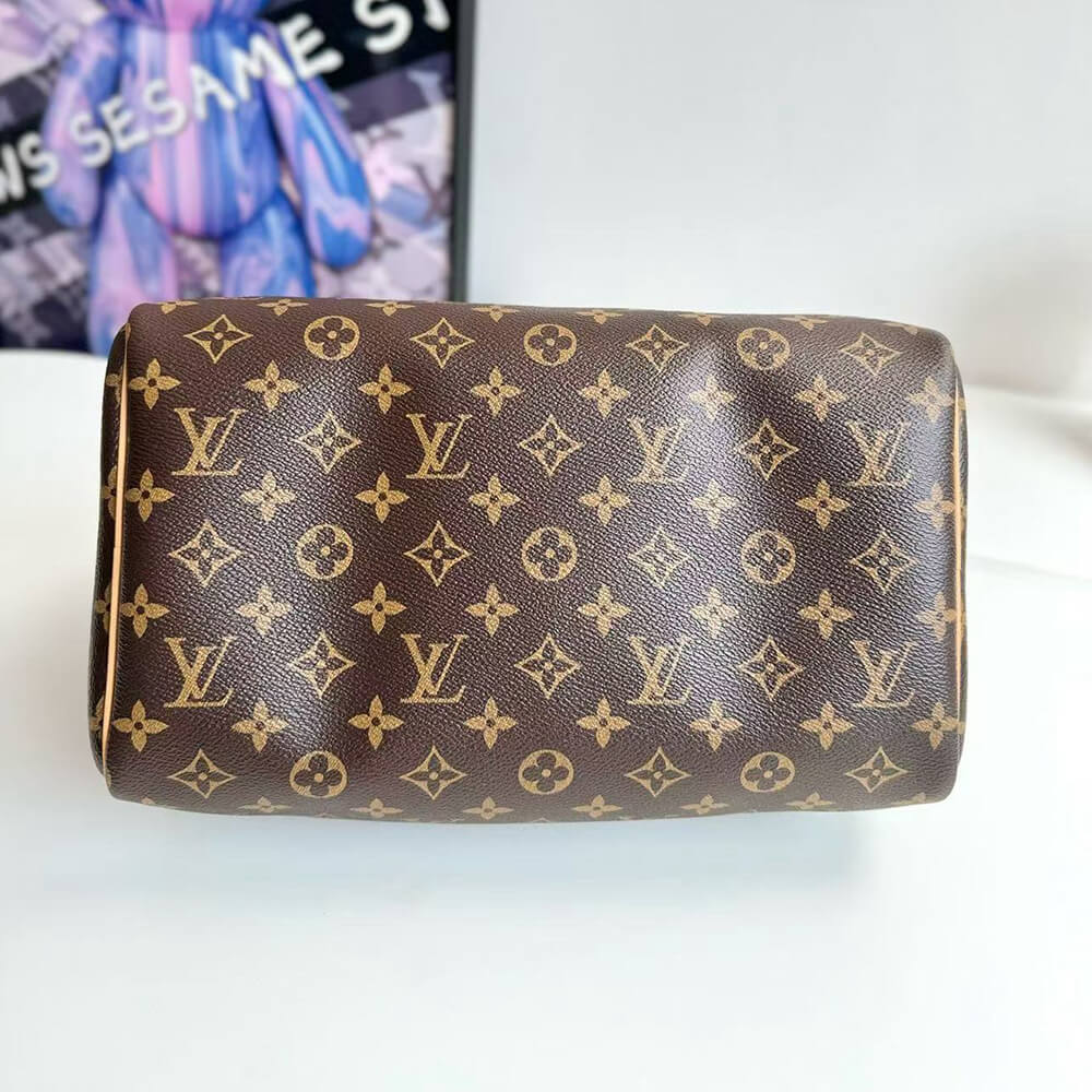 LV Speedy Soft 30 Crafty