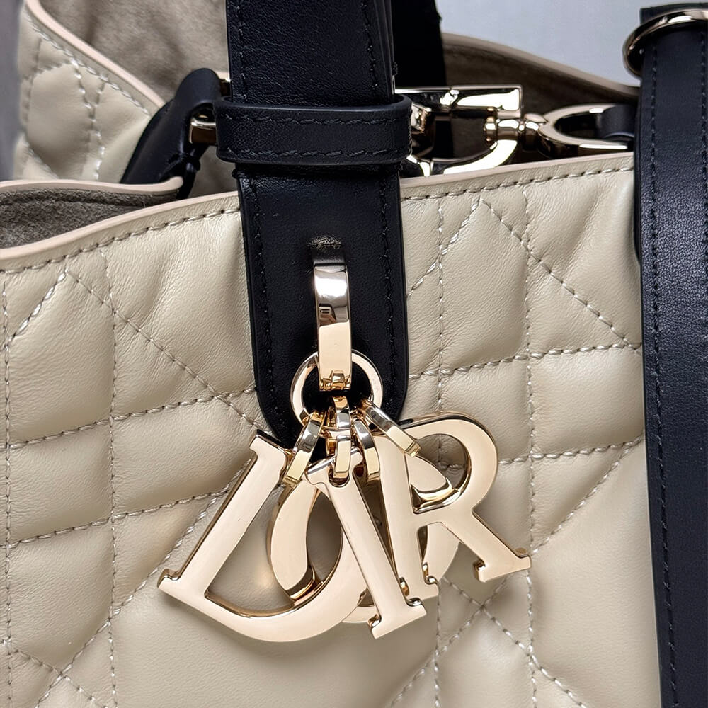 Medium Dior Toujours Bag
