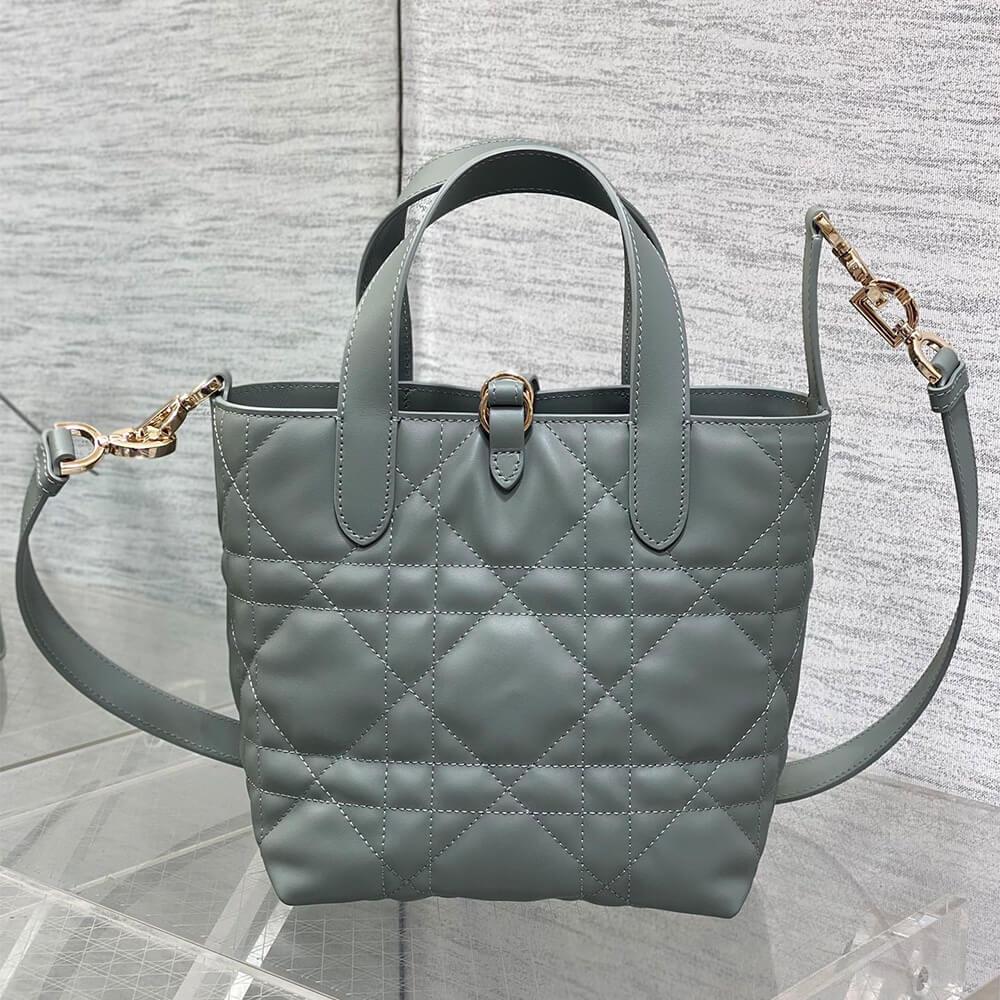 Small Dior Toujours Vertical Tote Bag(high-end grade)