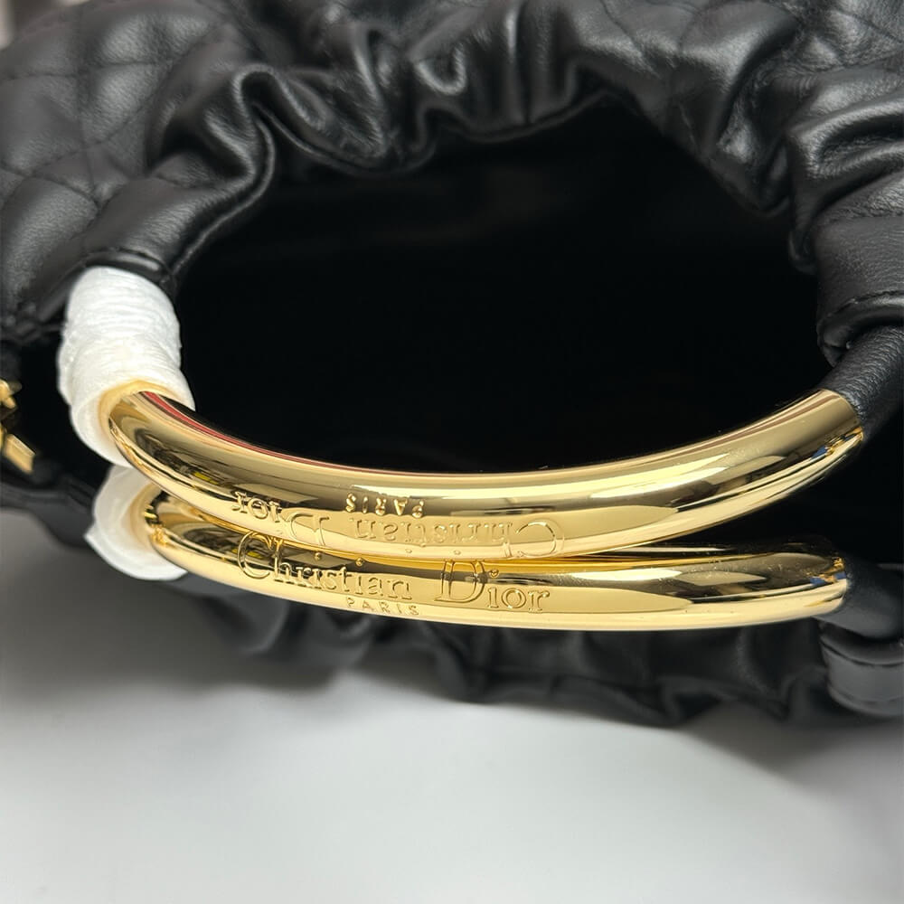 Dior Walk in Dior Purse