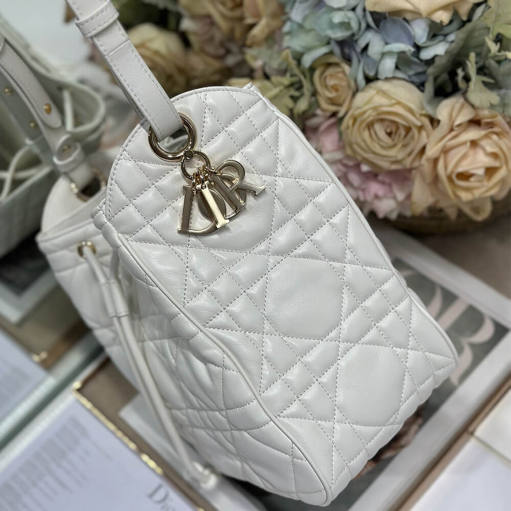 Dior Medium D-Motion Bag(HIGH-END GRADE)